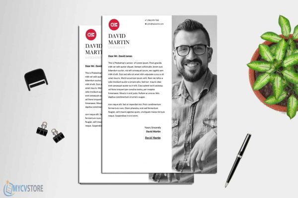 Clean Business Cover Letter Template