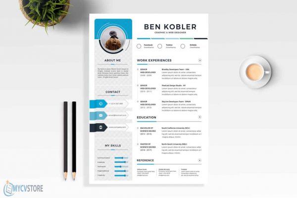 Clean & Professional Resume