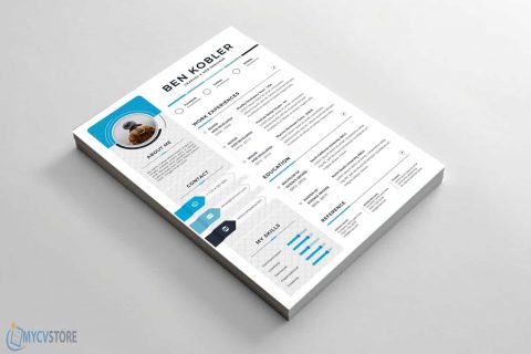 Clean & Professional Resume - Download for Word