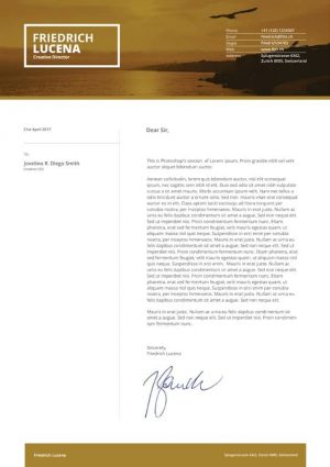 Swiss Cover Letter Template