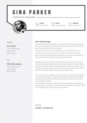 Gina Cover Letter Template