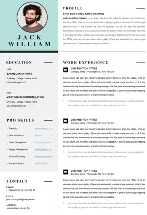 Creative Infographic Resume Template