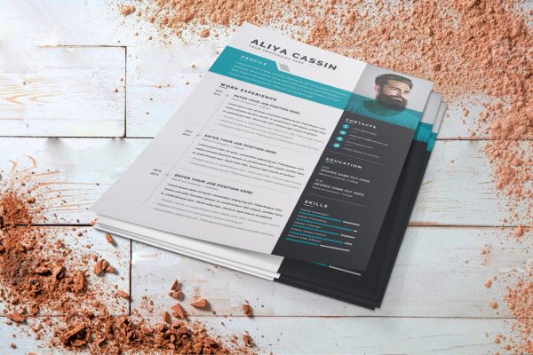 Detailed CV Word Format Template