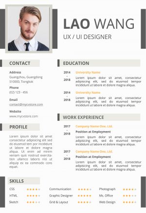 Creative Infographic Resume