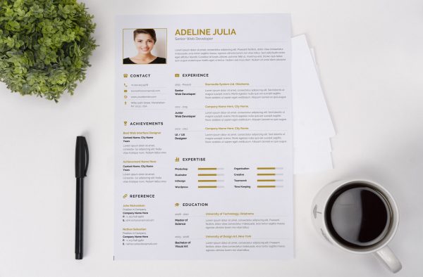 Commercial CV Example