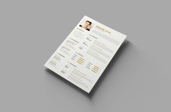 Commercial CV Example