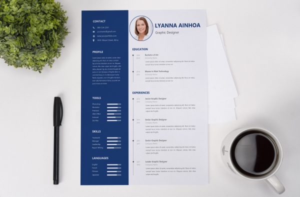 IT Manager CV Template