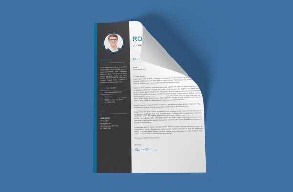 Junior Cover Letter Template Word