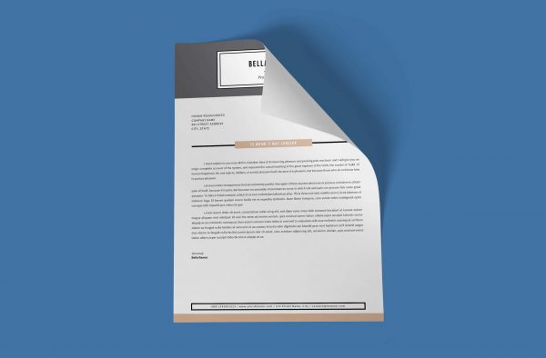 Microsoft Word Cover Letter Template