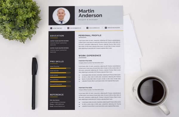 Modern Resume Design