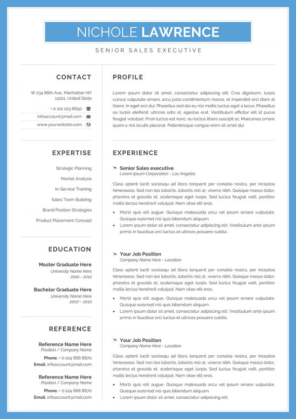 Online CV Example
