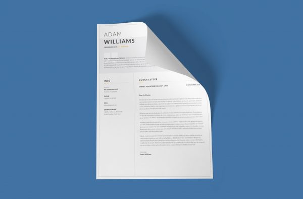 Organized Cover letter Example