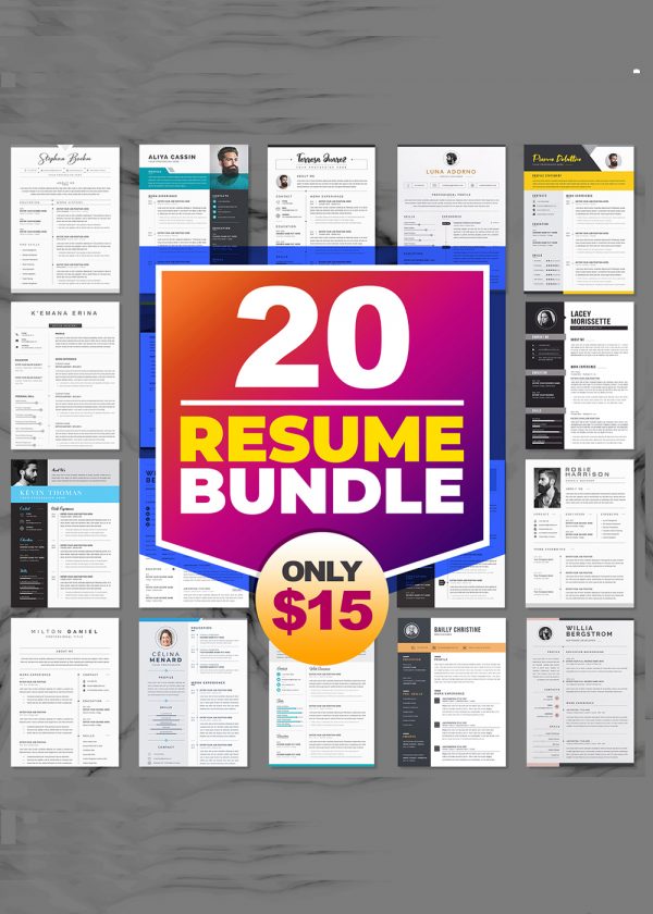 20 Resume CV Template Bundle Microsoft Word Format
