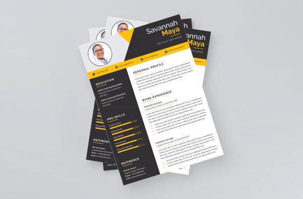 Ms Word Resume Template