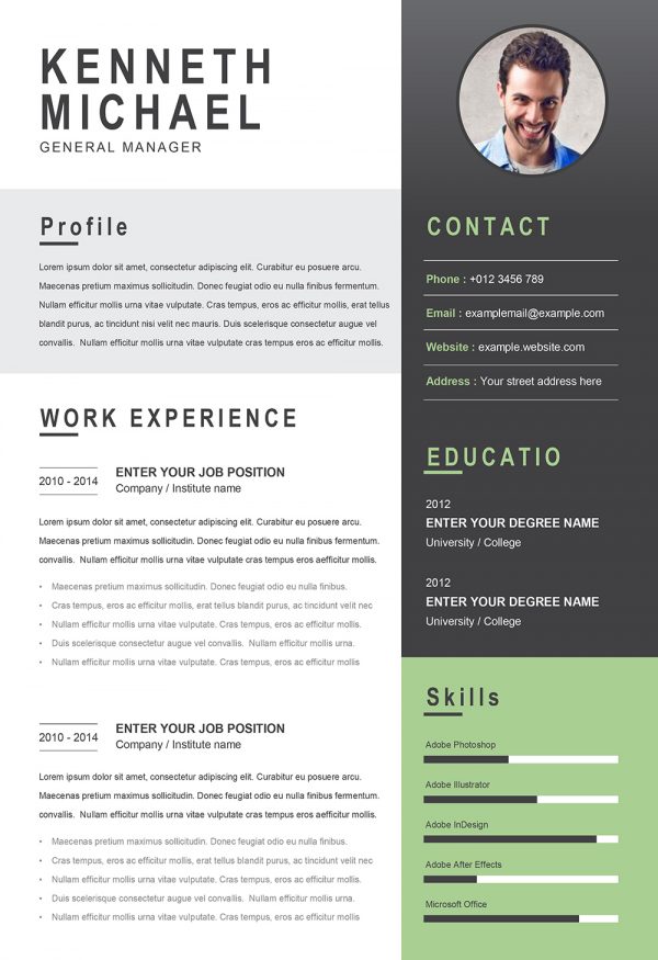 Perfect Original CV Template